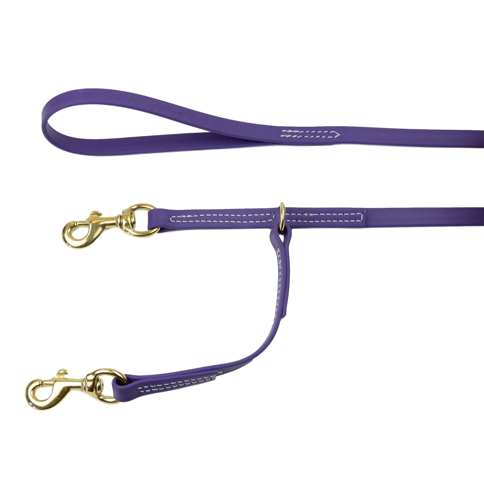 All Weather Prong Collar Leash