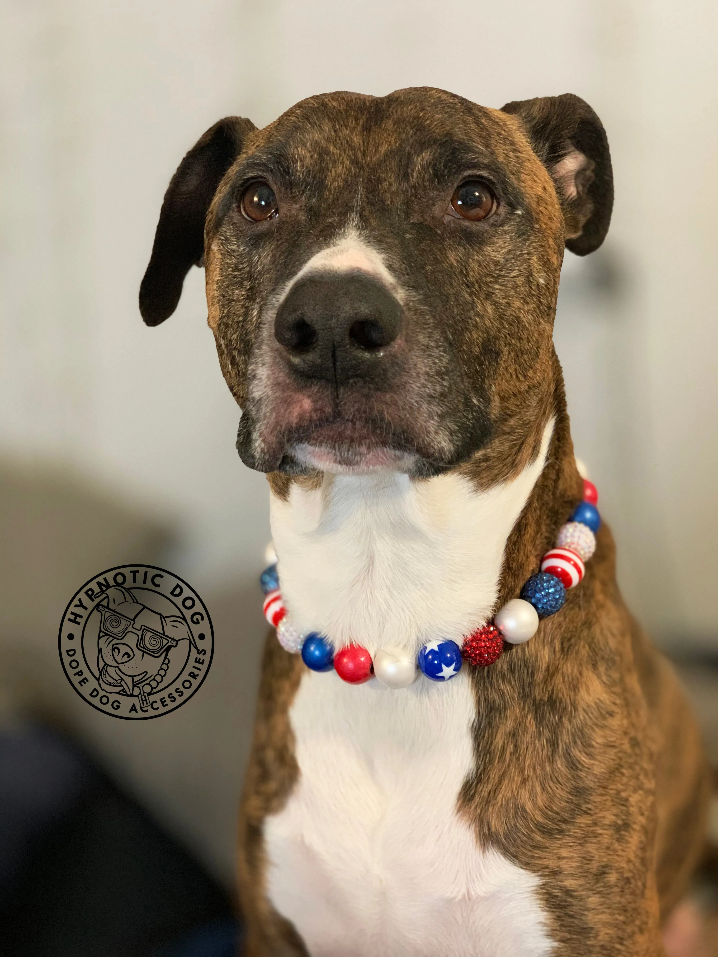Americana Glam MINI [Small Dog/Cat Bead Collar]