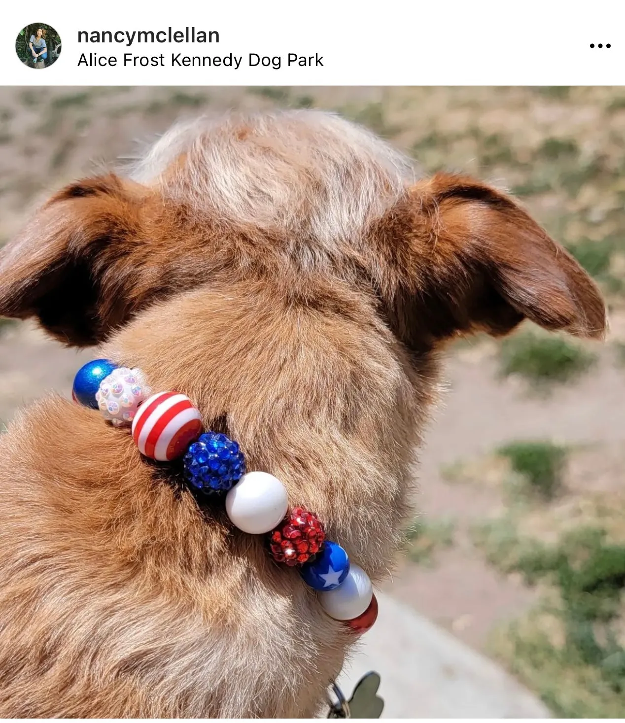 Americana Glam MINI [Small Dog/Cat Bead Collar]