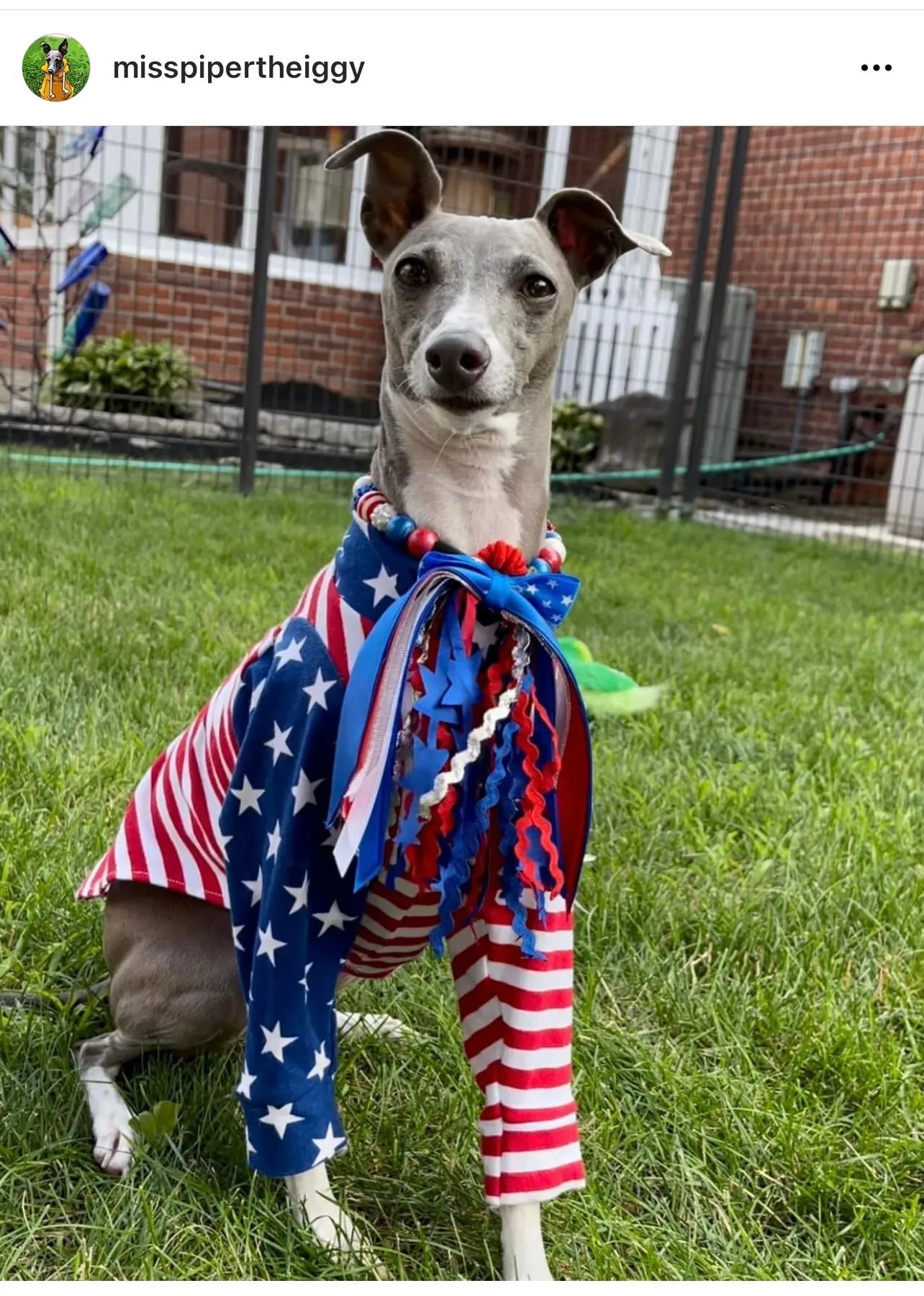 Americana Glam MINI [Small Dog/Cat Bead Collar]