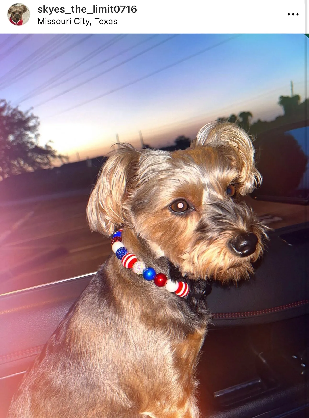 Americana Glam MINI [Small Dog/Cat Bead Collar]