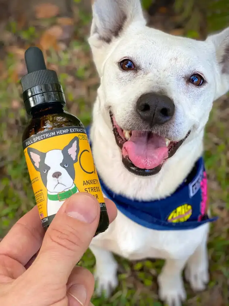 CALM - Natural Stress Relief for Dogs with Anxiety and Stress
