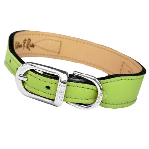 Italian Lime Green Leather Dog Collar in Nickel