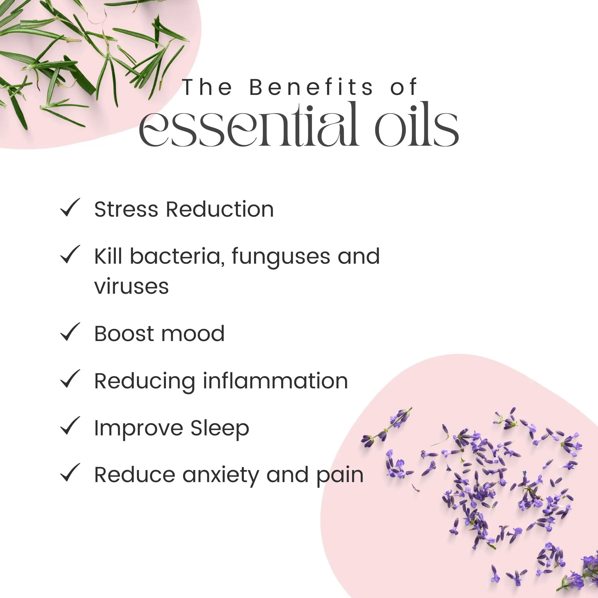 Lavender - 100% Essential oil
