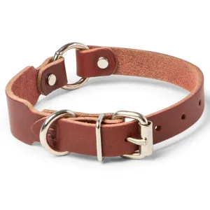 Leather Ring-N-Center Beagle Collar