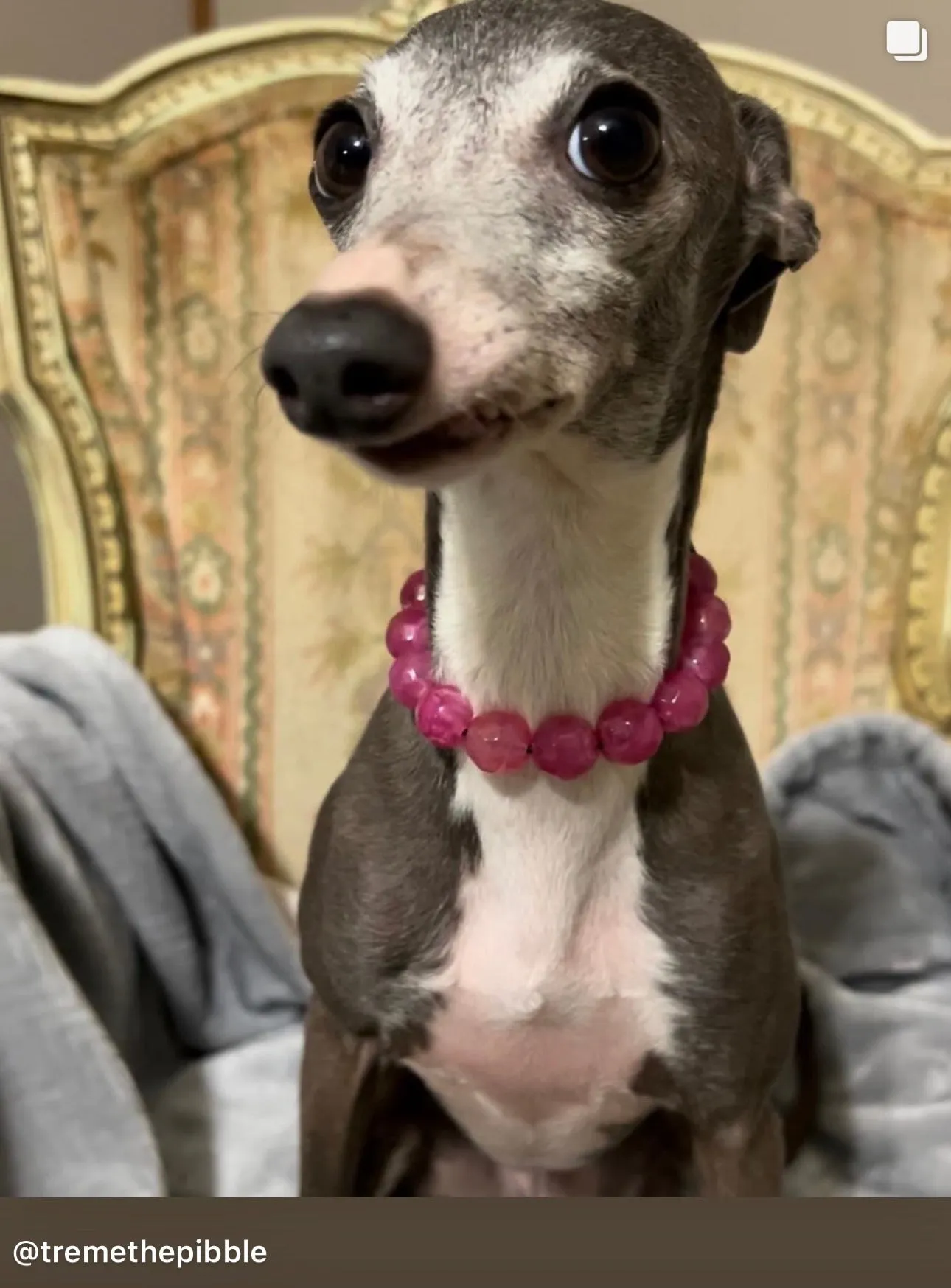 Magenta Faceted Gem MINI Acrylic [Small Dog/Cat Bead Collar]