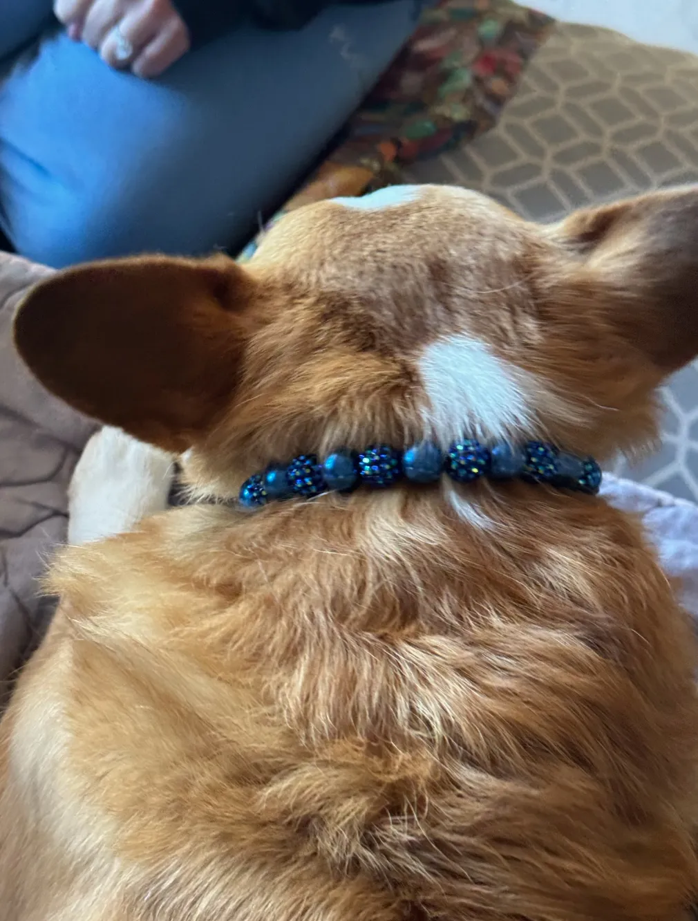 Midnight Sparkle MINI Glam Collar [Small Dog/Cat Bead Collar]