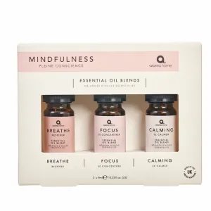 Mindfulness Essential Oil Kit