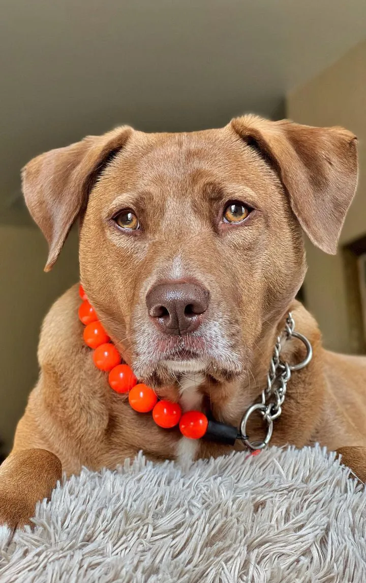 Neon Hot Orange Acrylic Bead Collar
