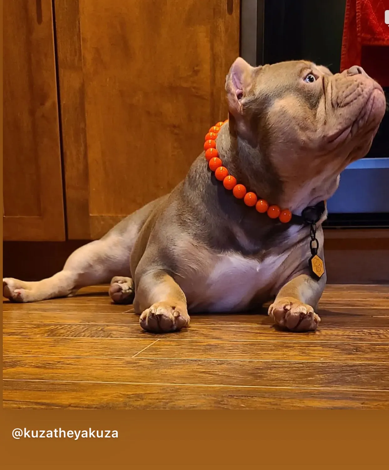 Neon Hot Orange Acrylic Bead Collar