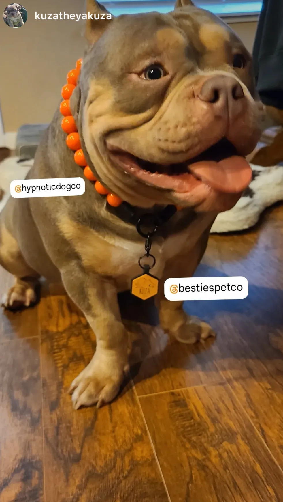 Neon Hot Orange Acrylic Bead Collar