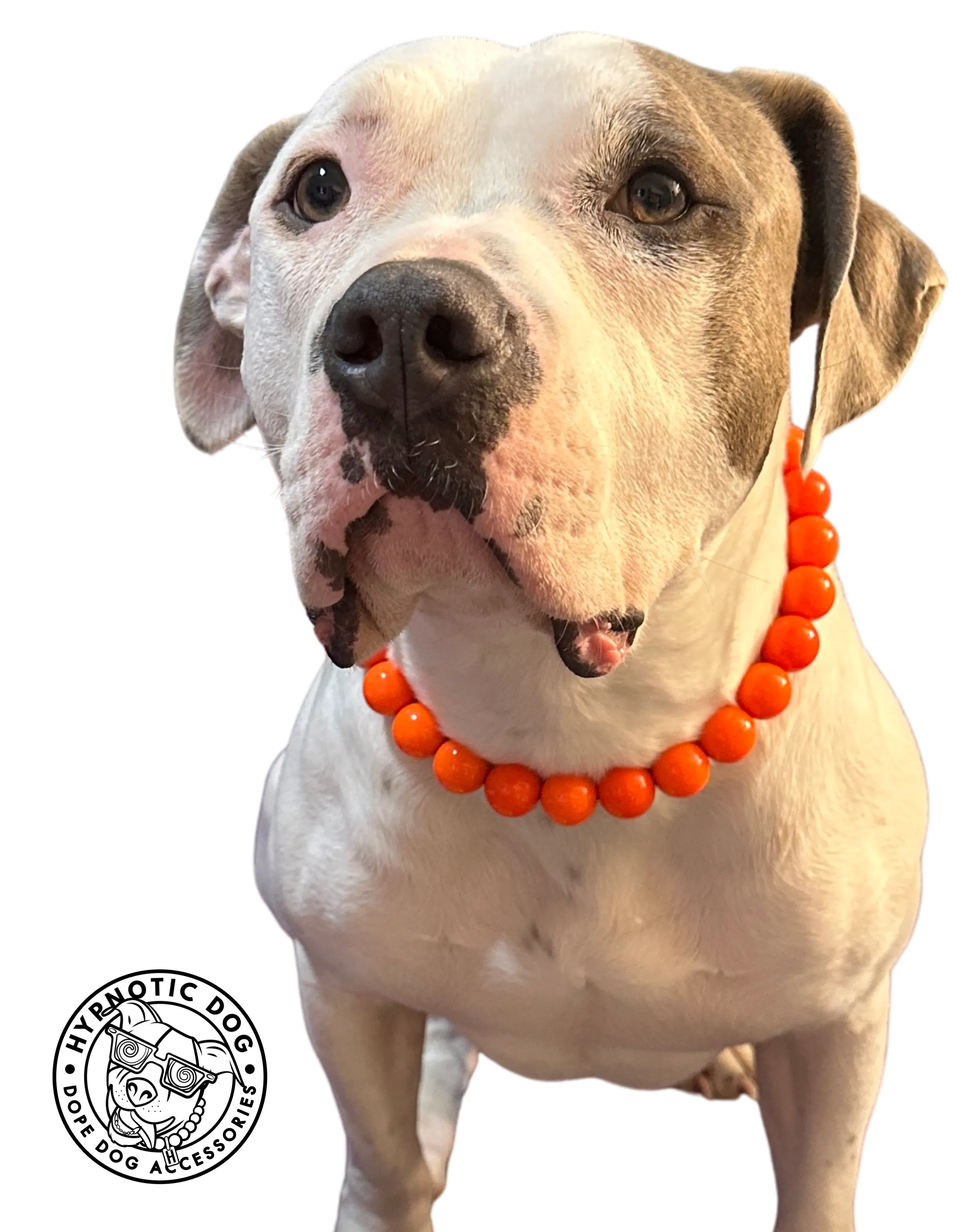 Neon Hot Orange Acrylic Bead Collar