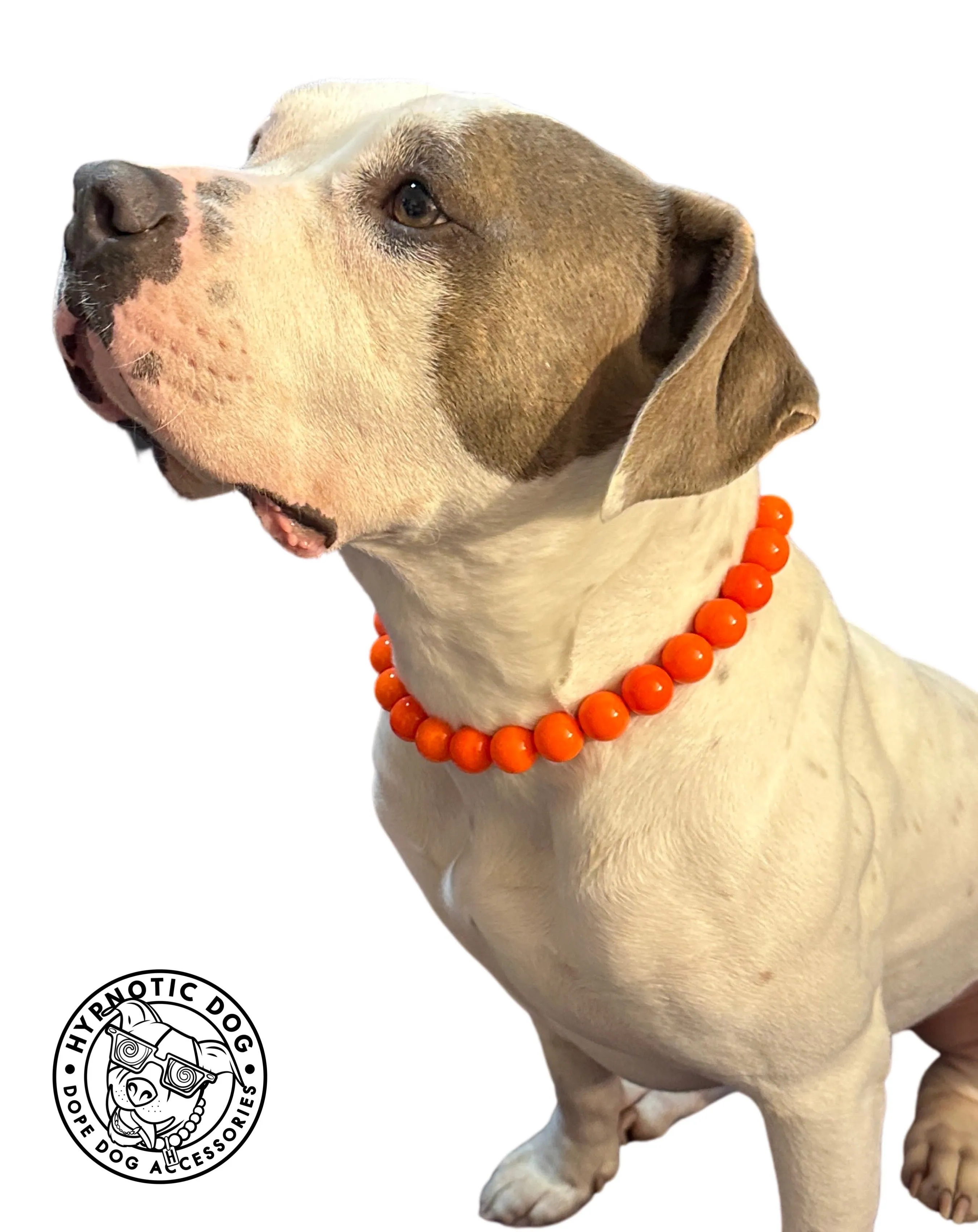 Neon Hot Orange Acrylic Bead Collar