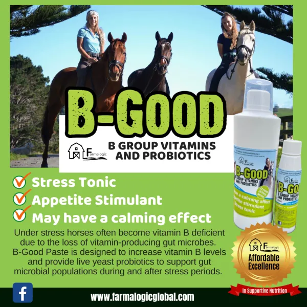 New! Farmalogic B-Good Probiotics with Vitamin B for Horse Stress, Anxiety & Appetite