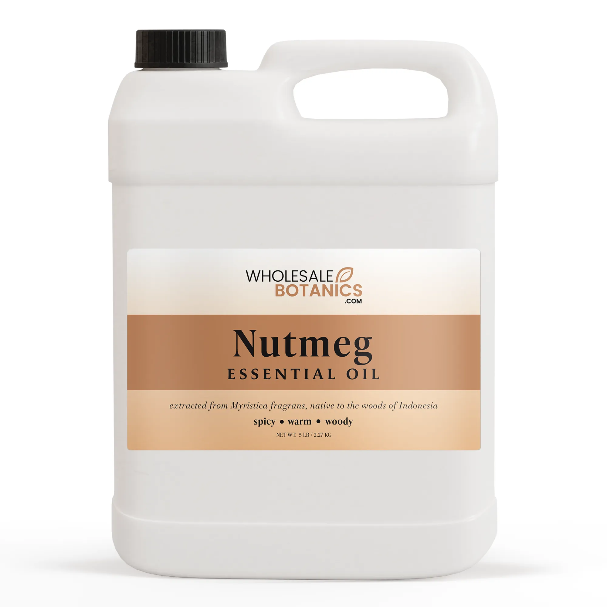 Nutmeg Essential Oil