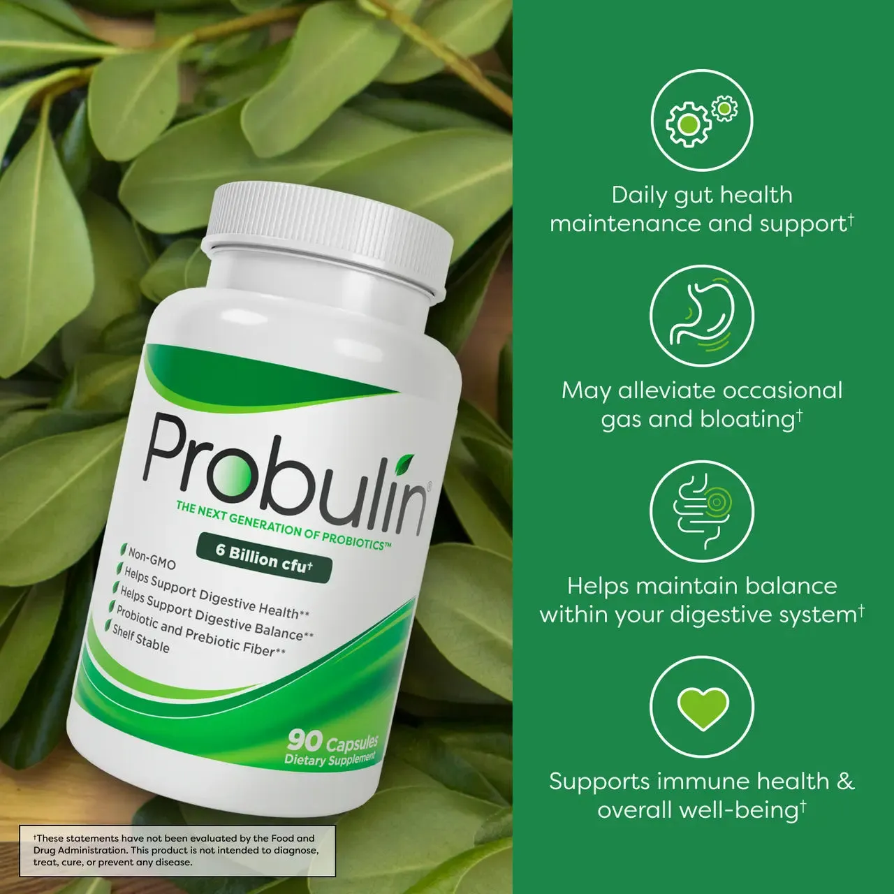 Original Formula Probiotic Capsules - 90 Count