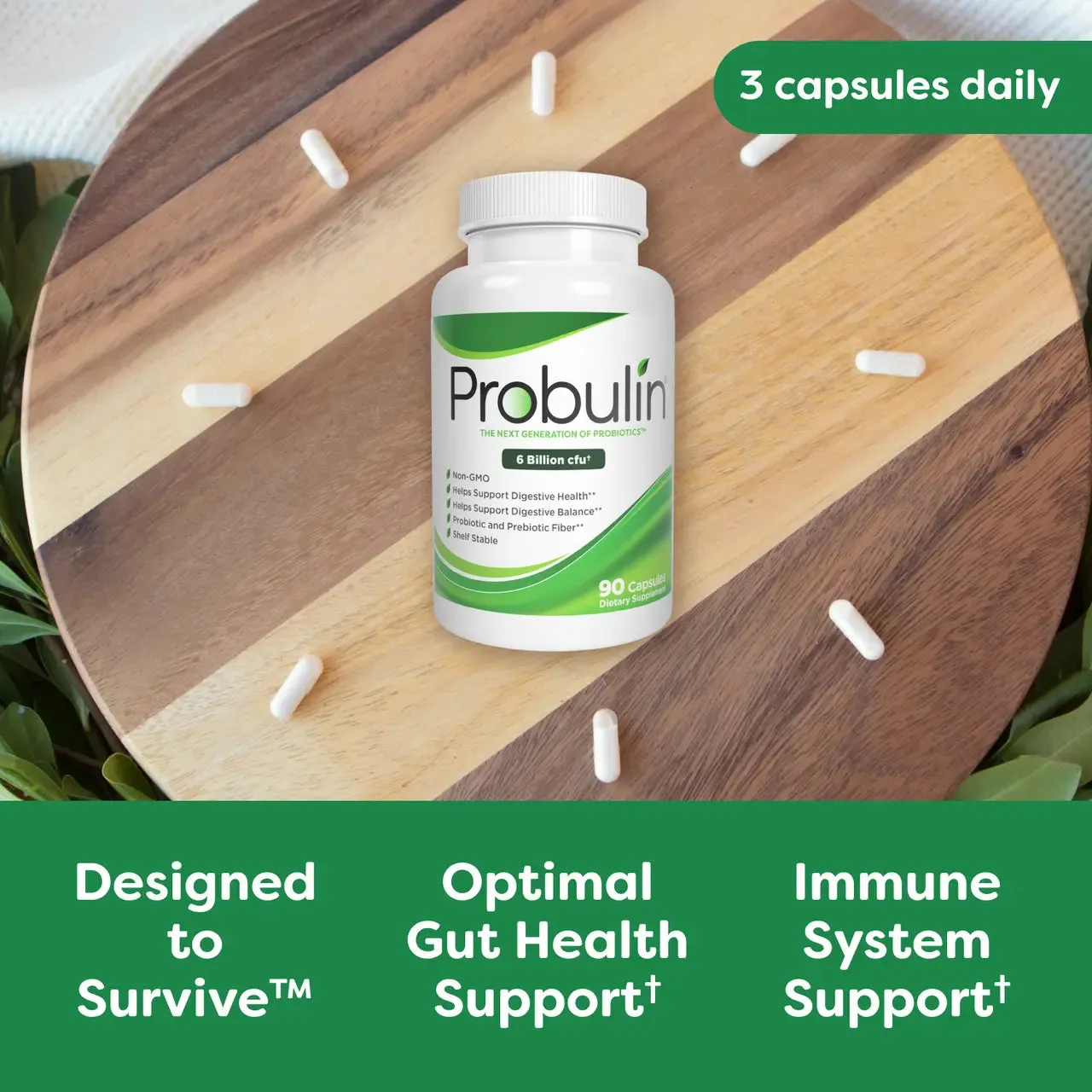 Original Formula Probiotic Capsules - 90 Count