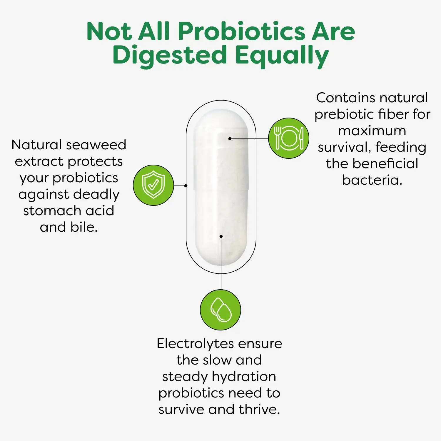 Original Formula Probiotic Capsules - 90 Count