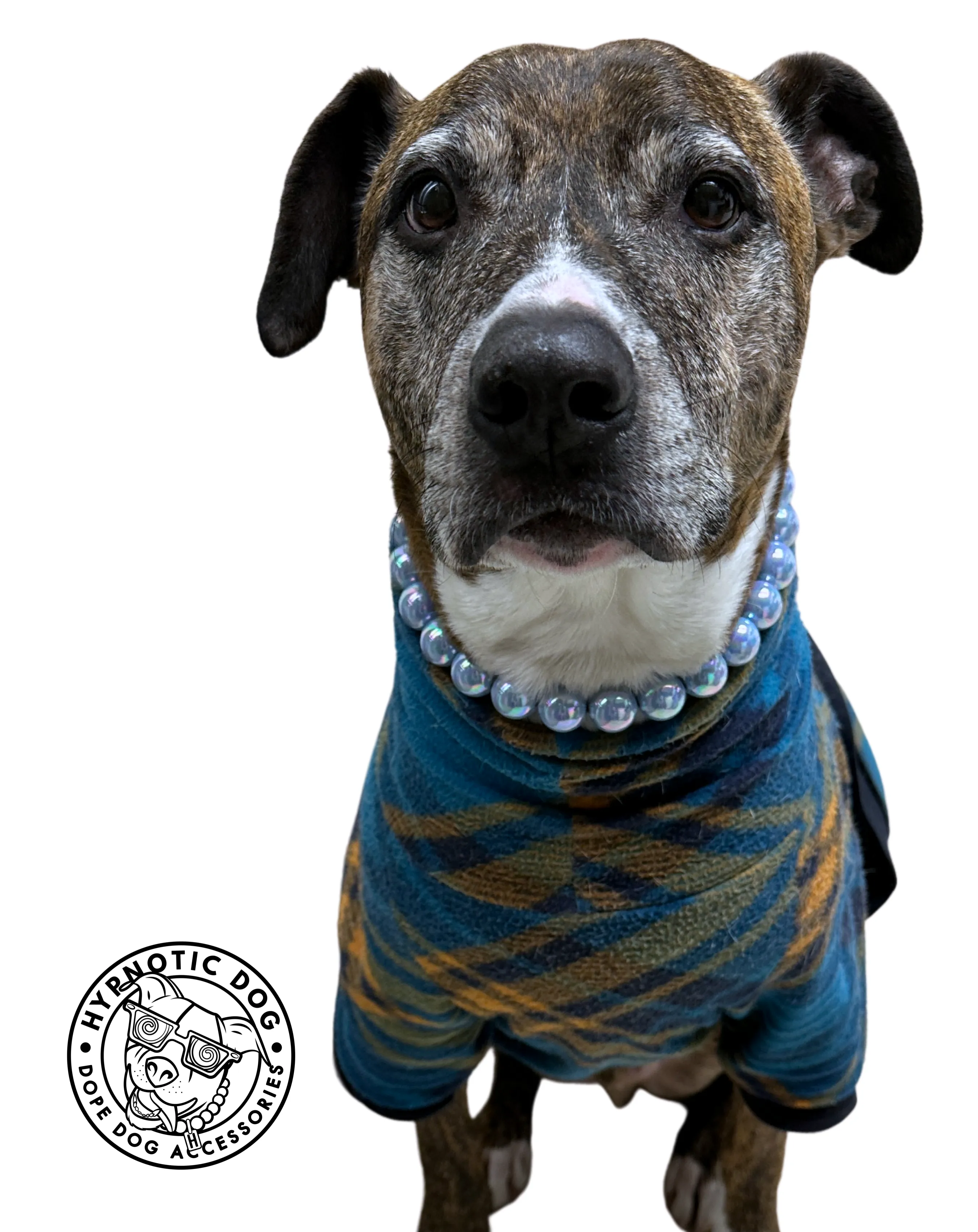 Periwinkle Shine Acrylic Bead Collar