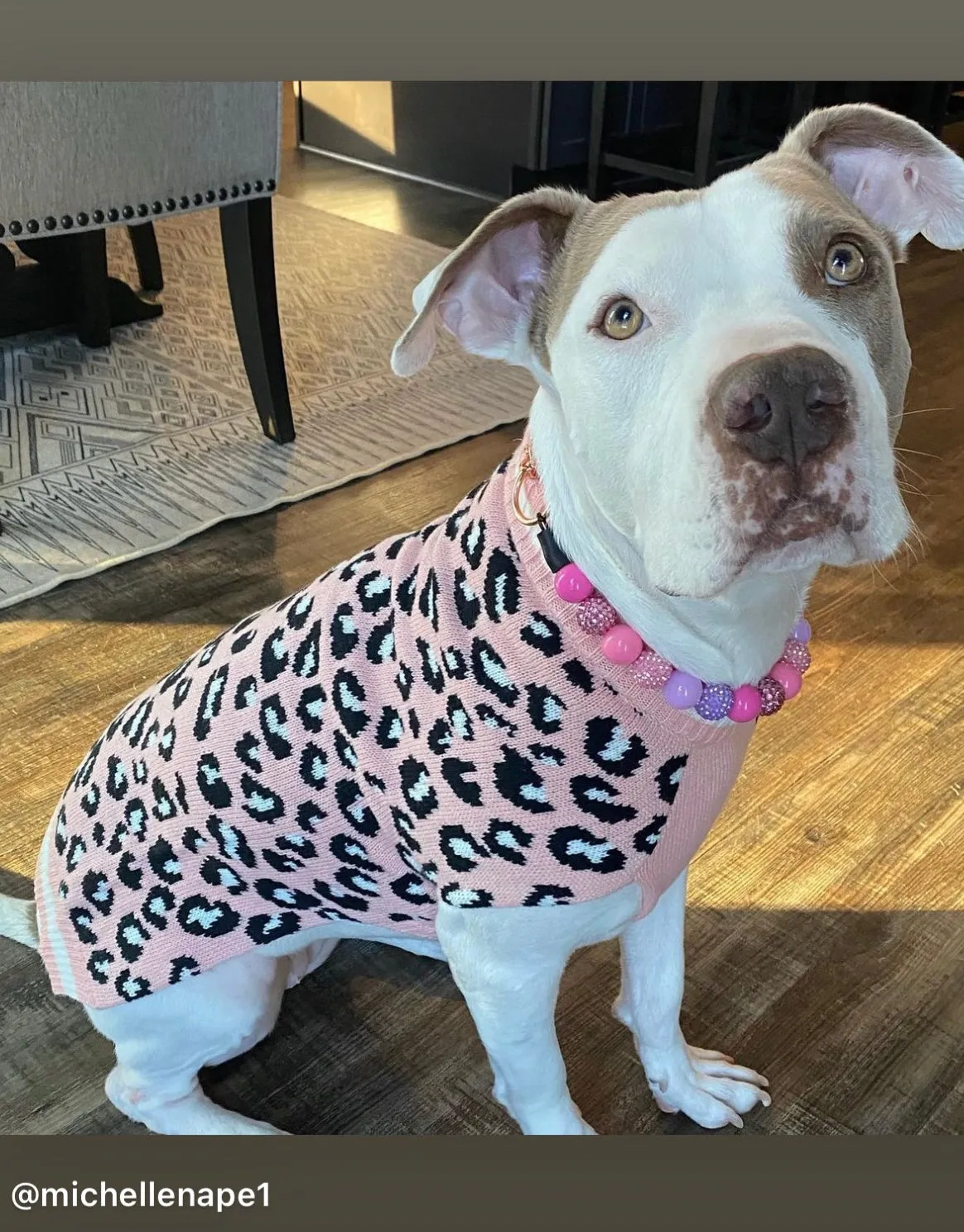 Pink Sugar Bead Collar