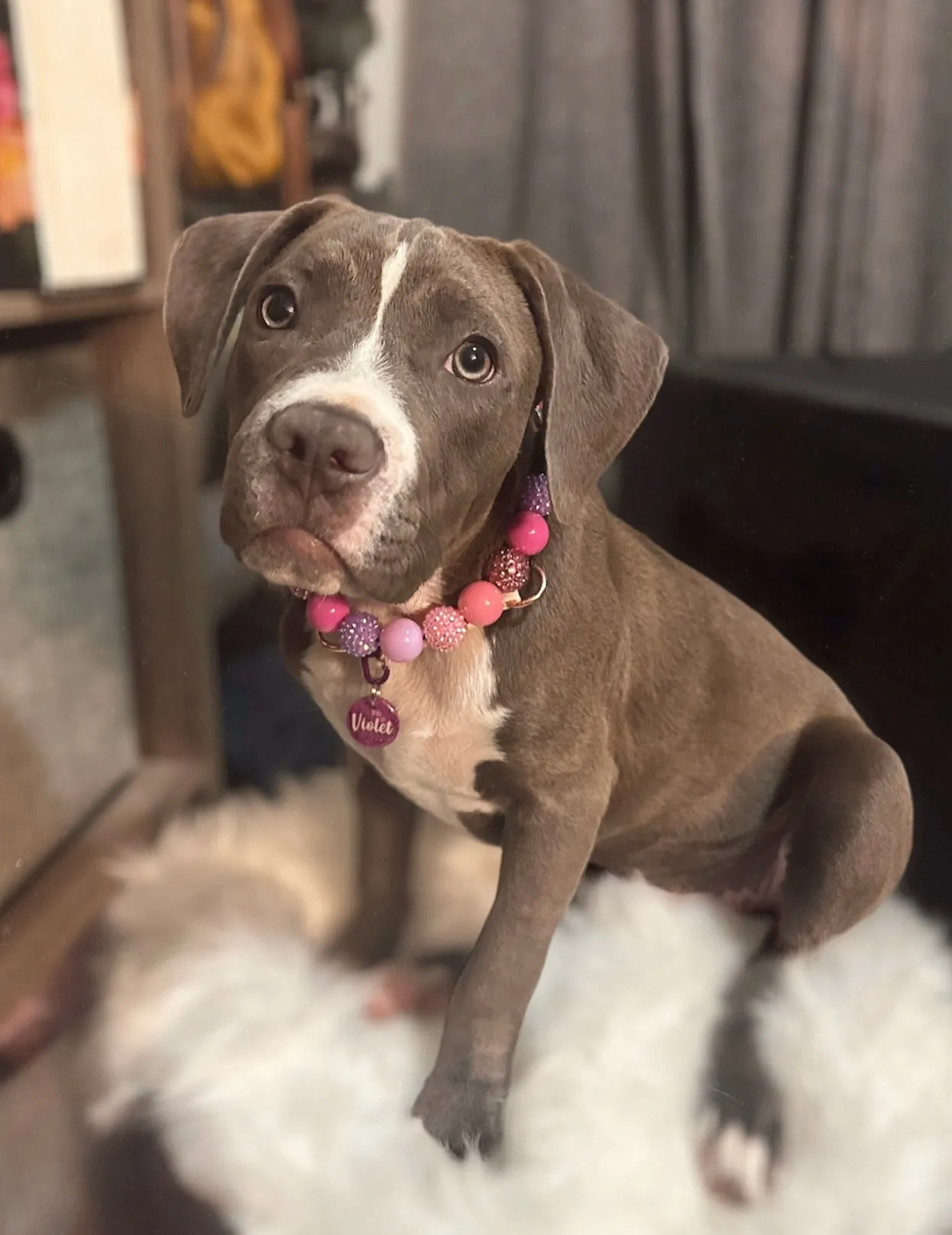 Pink Sugar Bead Collar