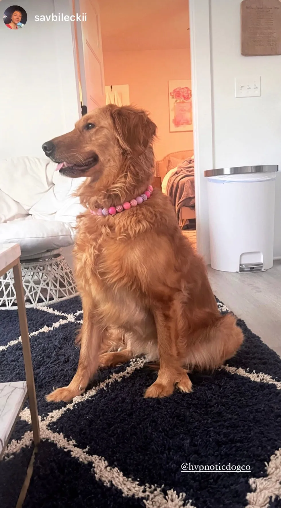 Pink Sugar Bead Collar