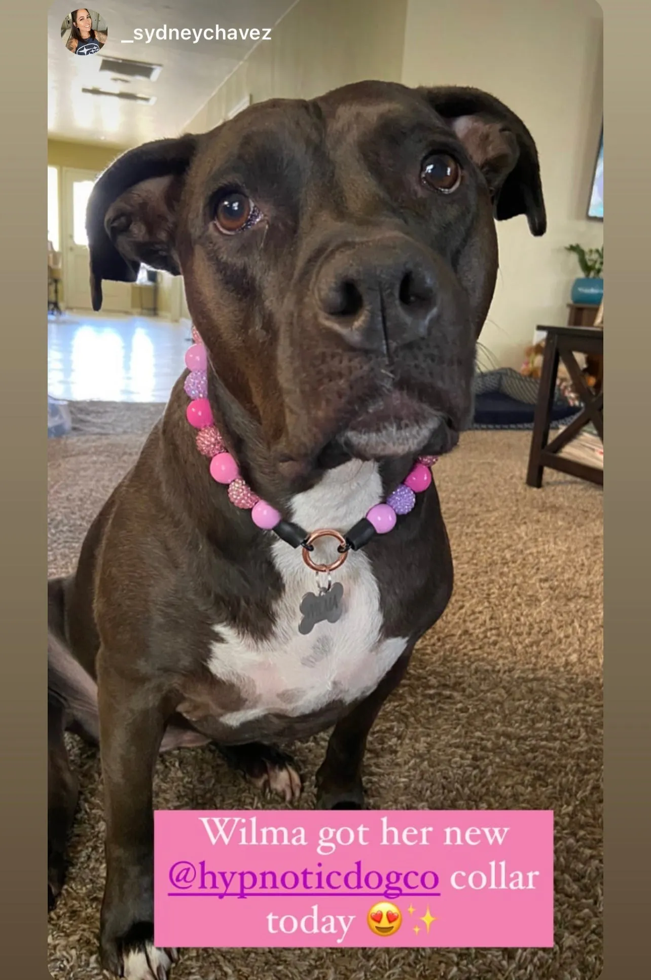 Pink Sugar Bead Collar