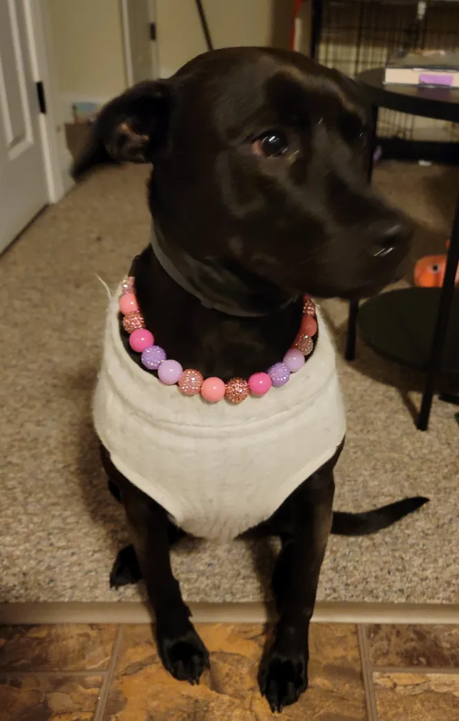 Pink Sugar Bead Collar