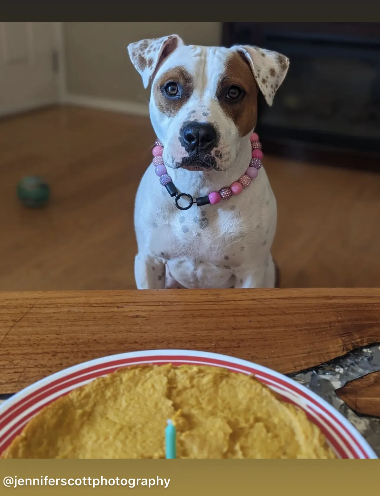 Pink Sugar Bead Collar