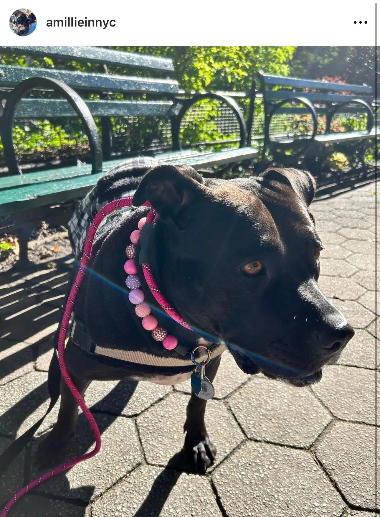 Pink Sugar Bead Collar
