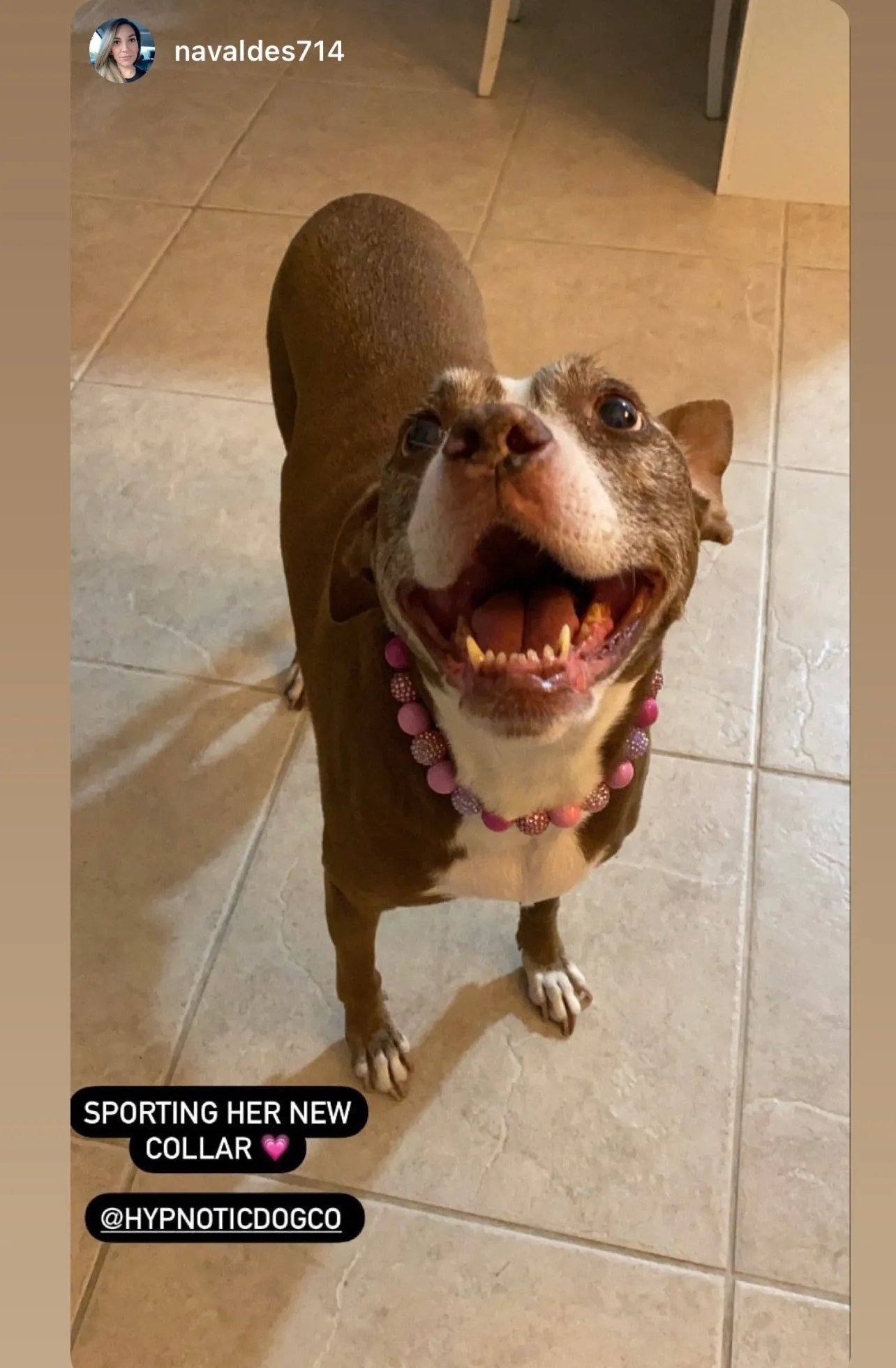 Pink Sugar Bead Collar