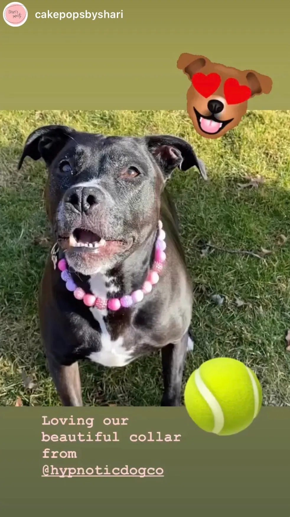 Pink Sugar Bead Collar