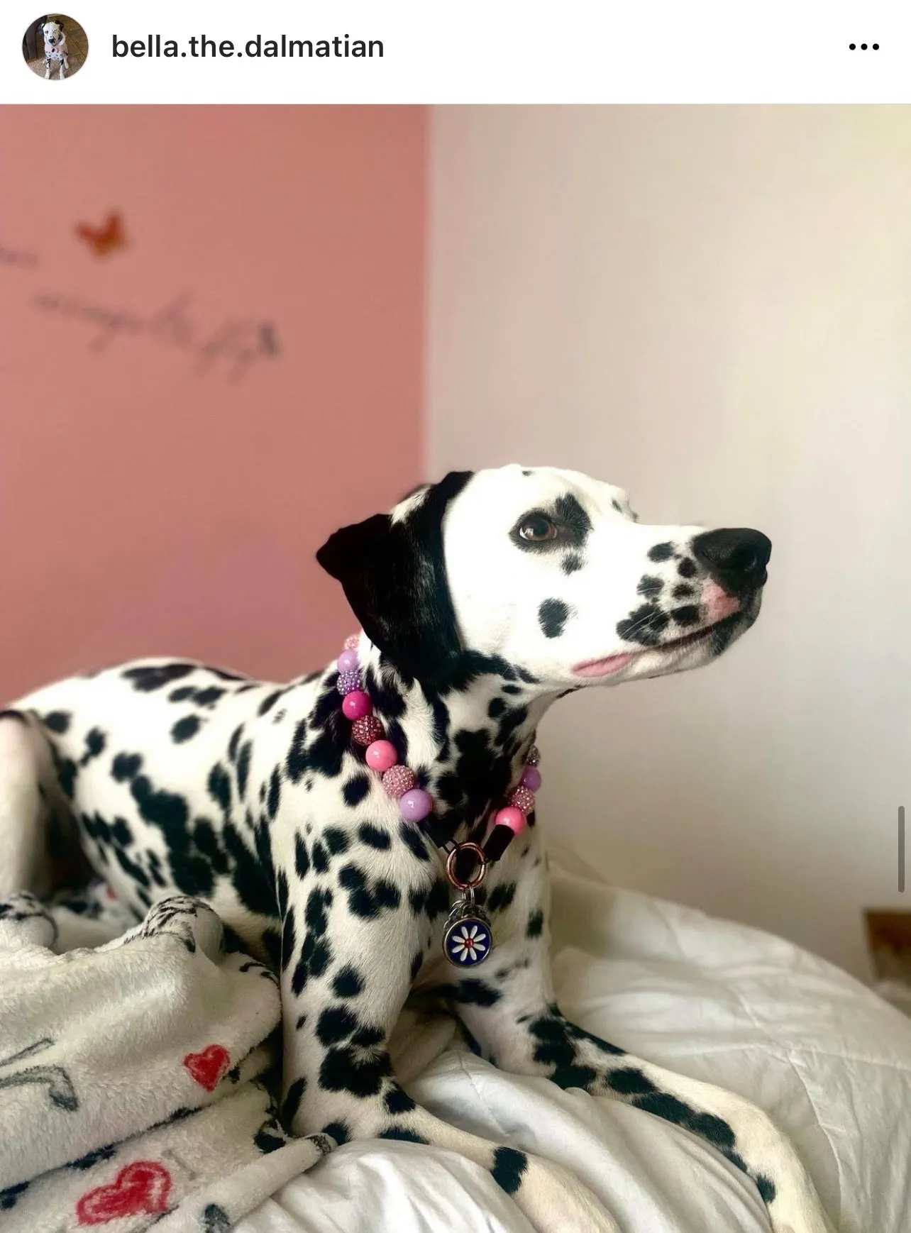 Pink Sugar Bead Collar