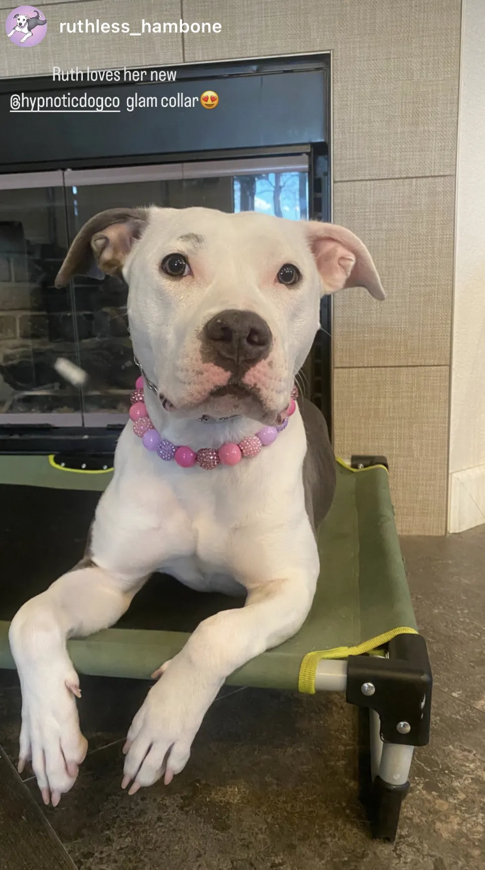 Pink Sugar Bead Collar