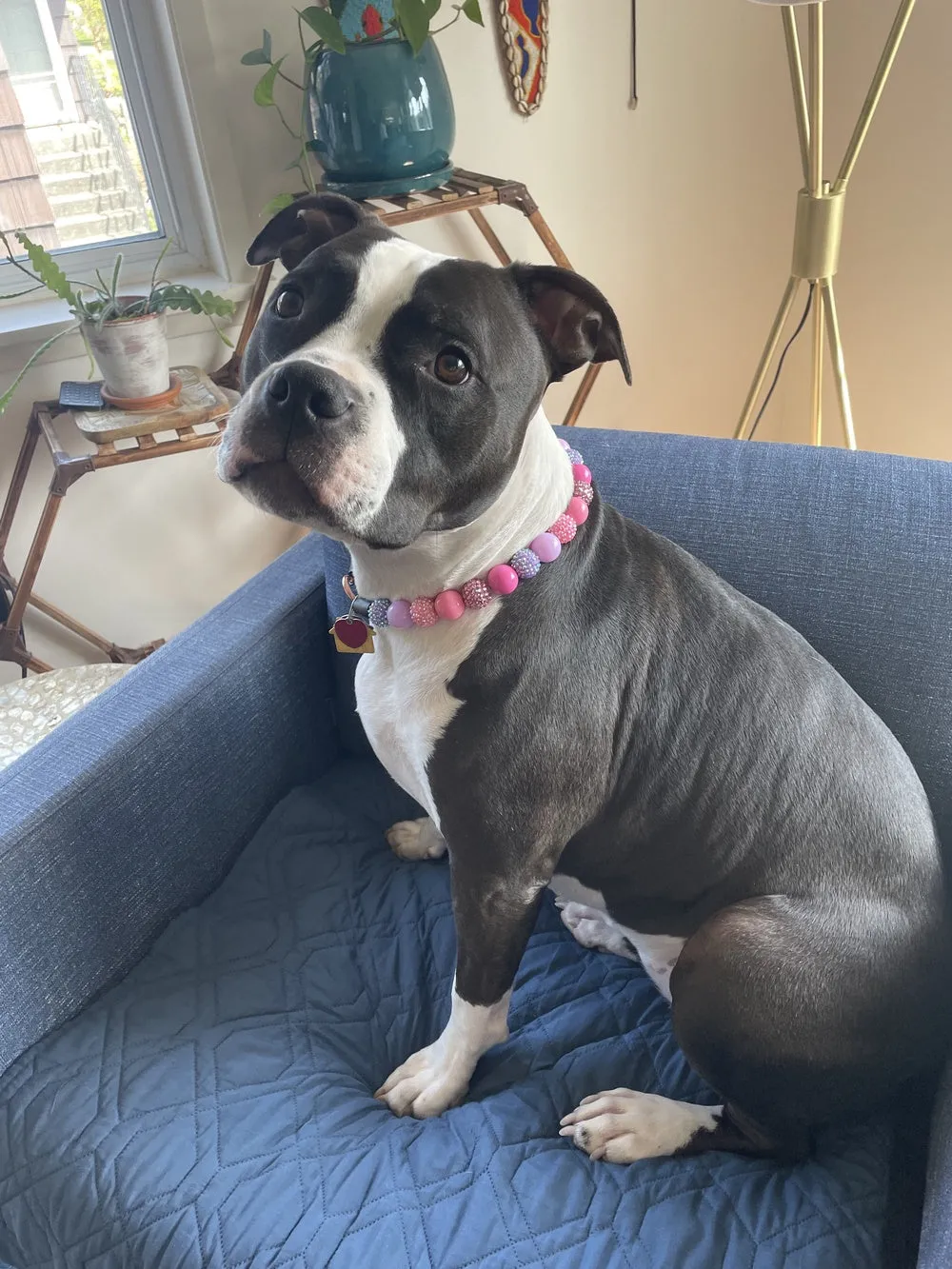 Pink Sugar Bead Collar