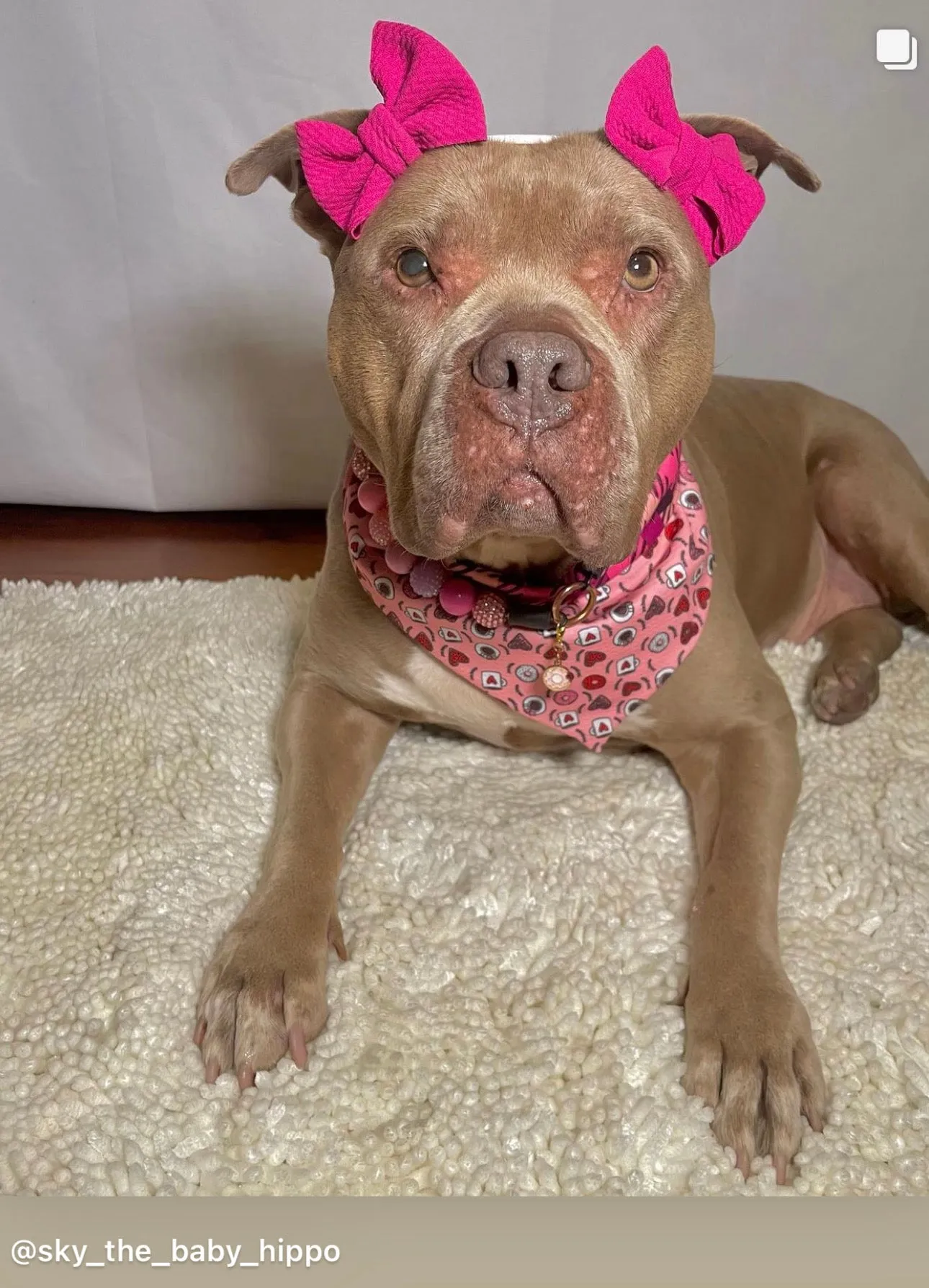 Pink Sugar Bead Collar