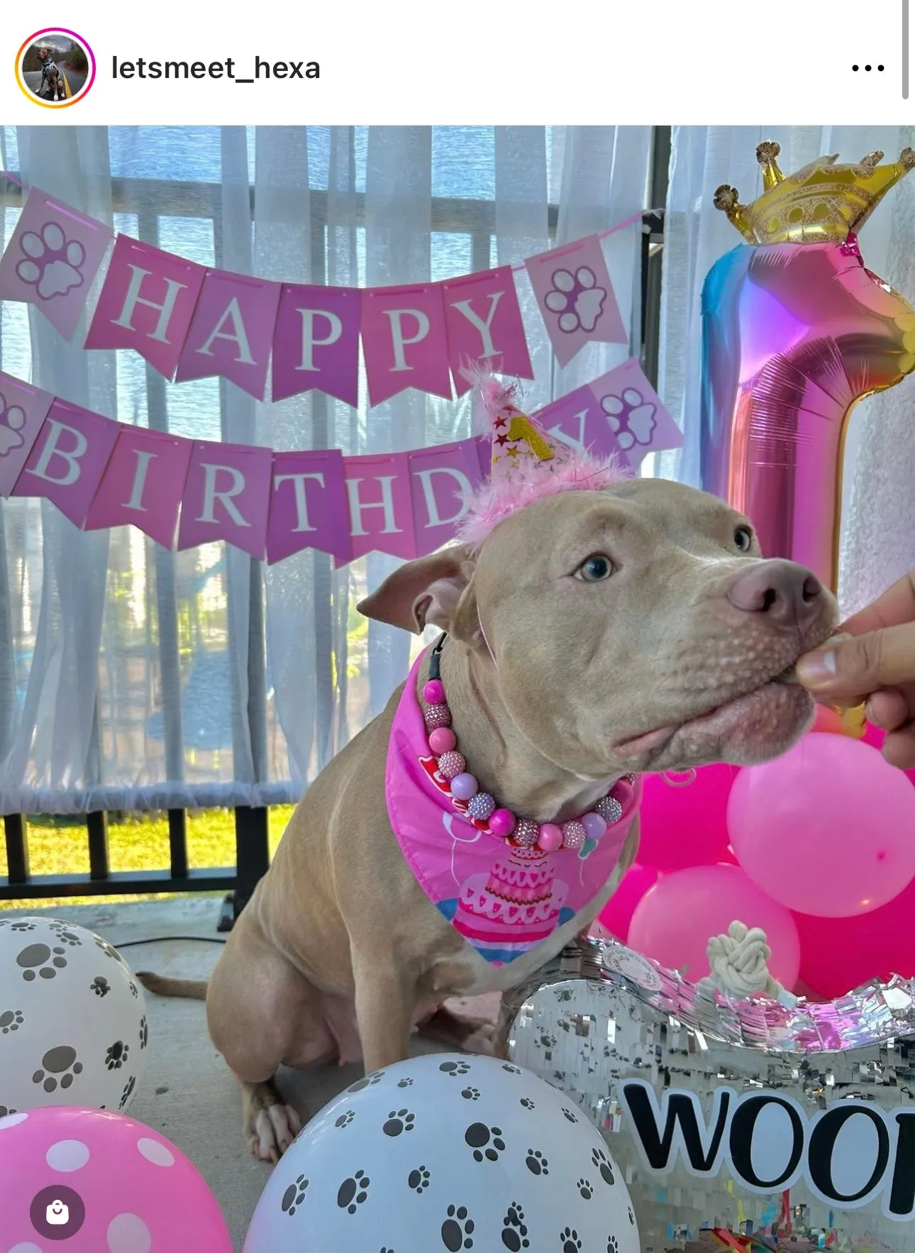 Pink Sugar Bead Collar