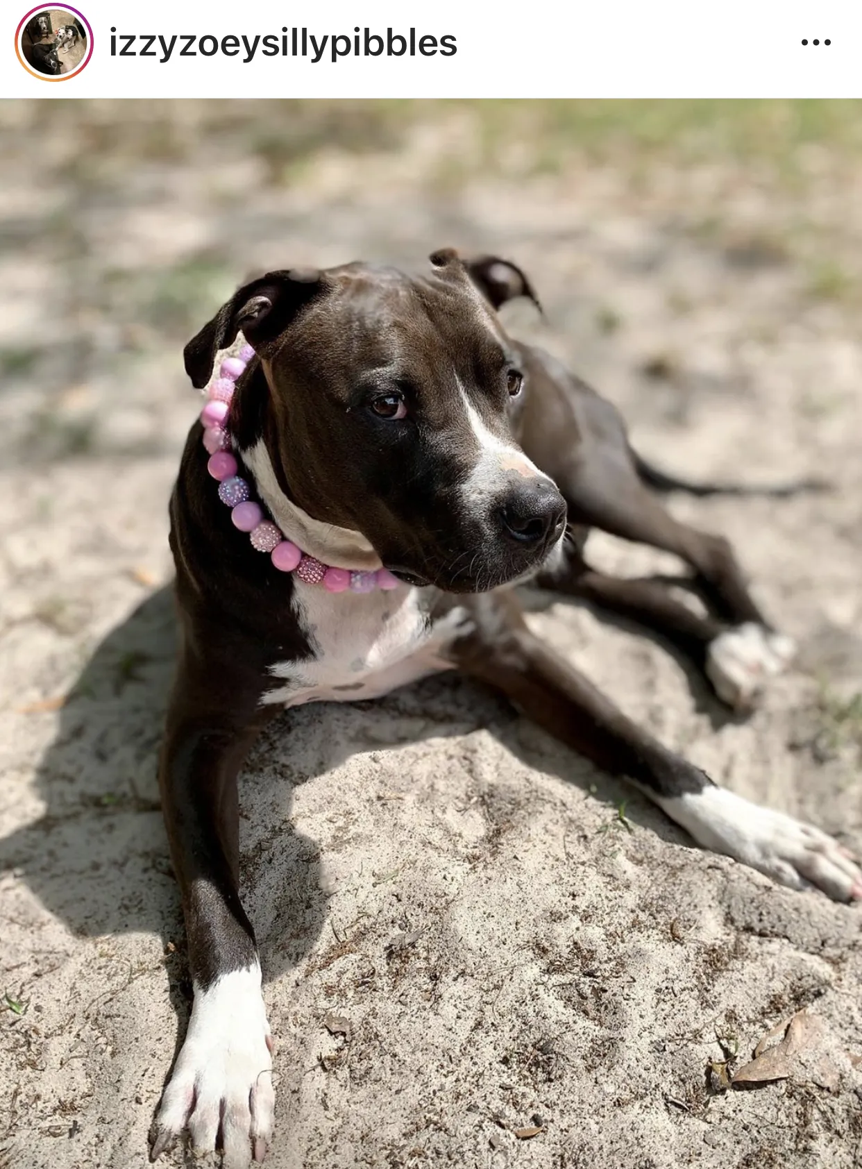 Pink Sugar Bead Collar