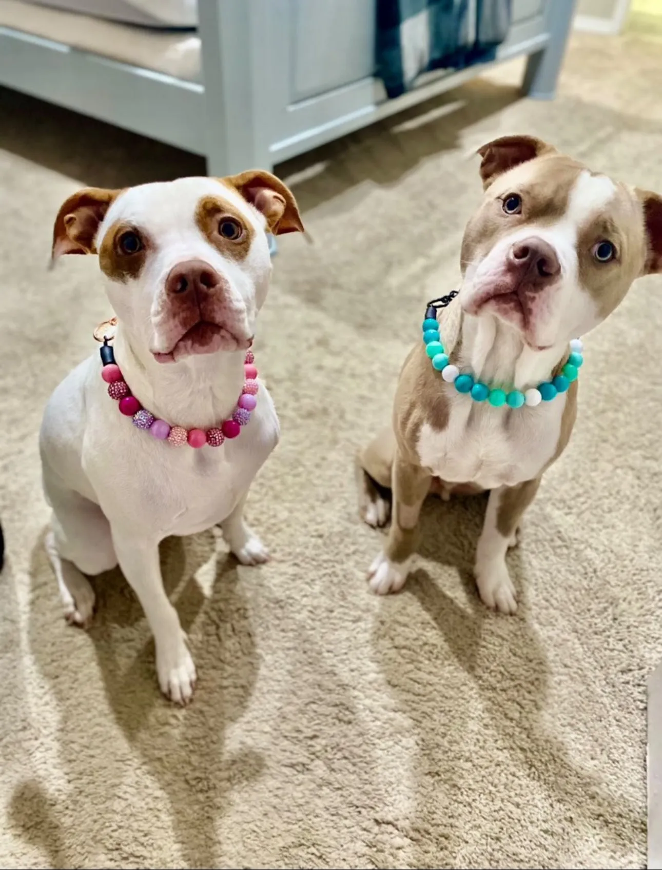 Pink Sugar Bead Collar