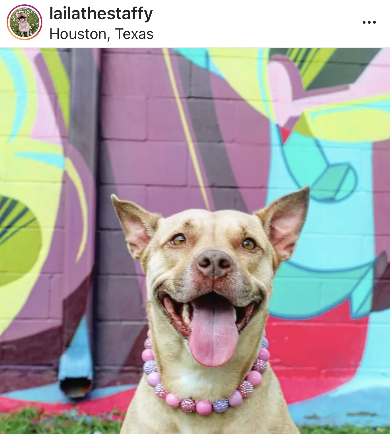 Pink Sugar Bead Collar