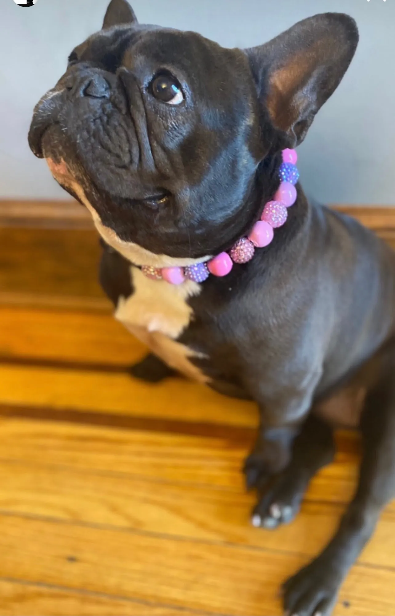 Pink Sugar Bead Collar