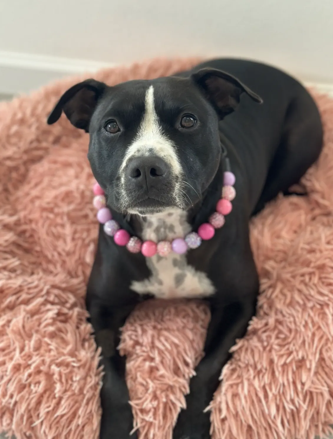 Pink Sugar Bead Collar