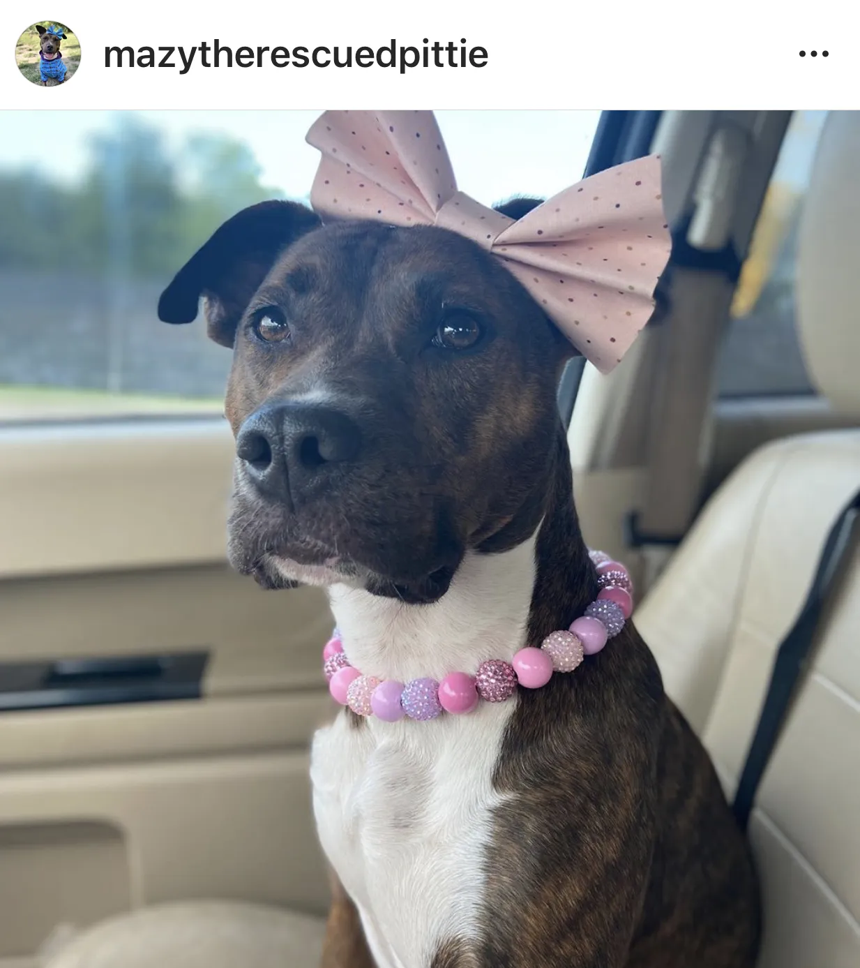 Pink Sugar Bead Collar