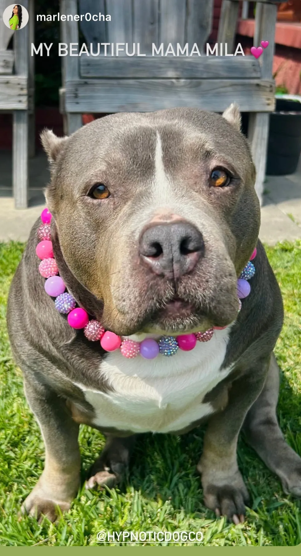 Pink Sugar Bead Collar