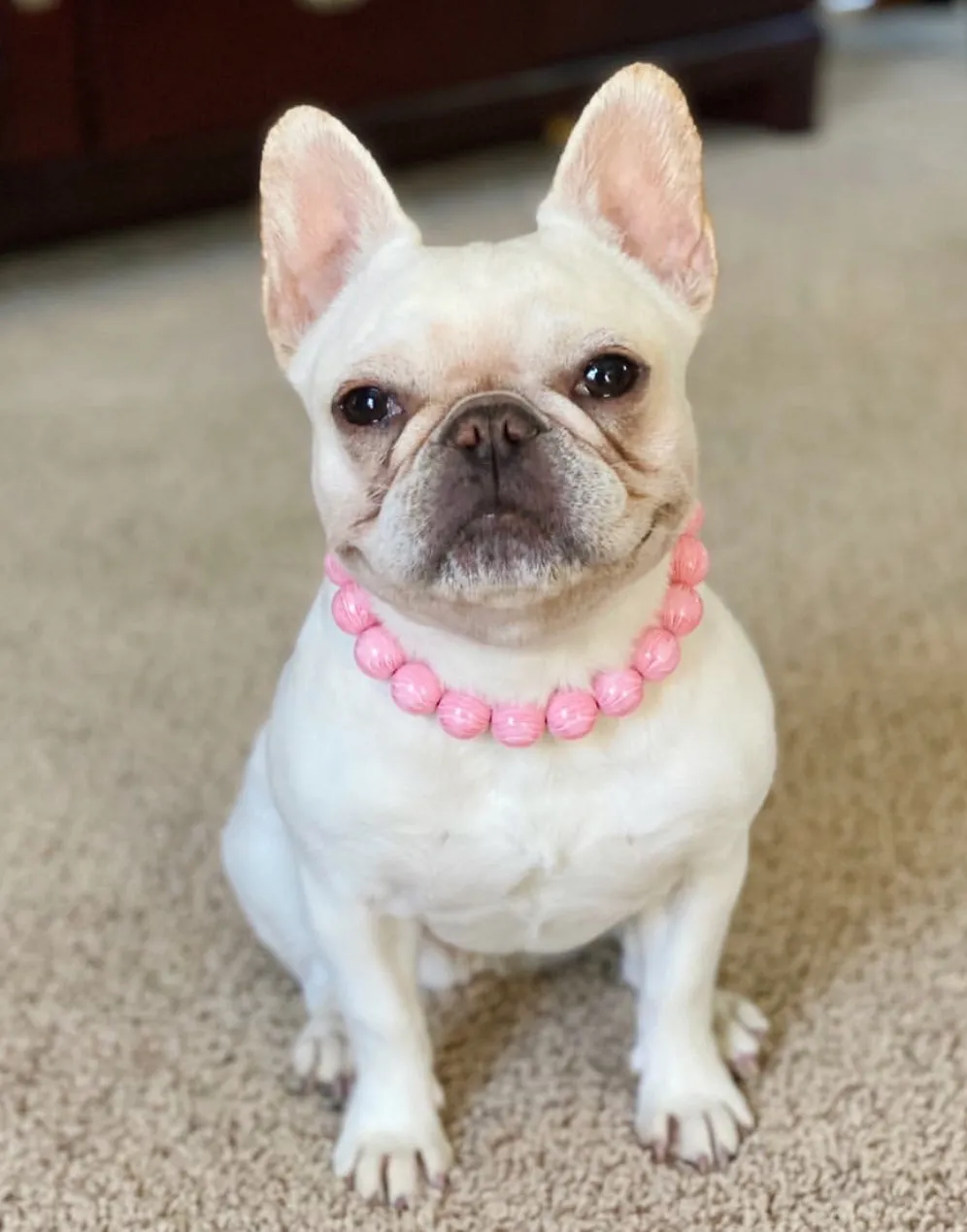 Pink Waves Resin Bead Collar