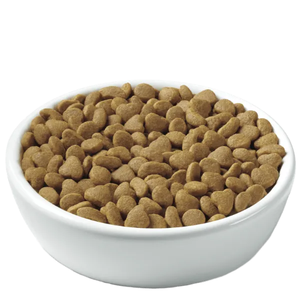 Purina Pro Plan Adult Sensitive Skin & Stomach Lamb & Rice Dry Cat Food, 7lb
