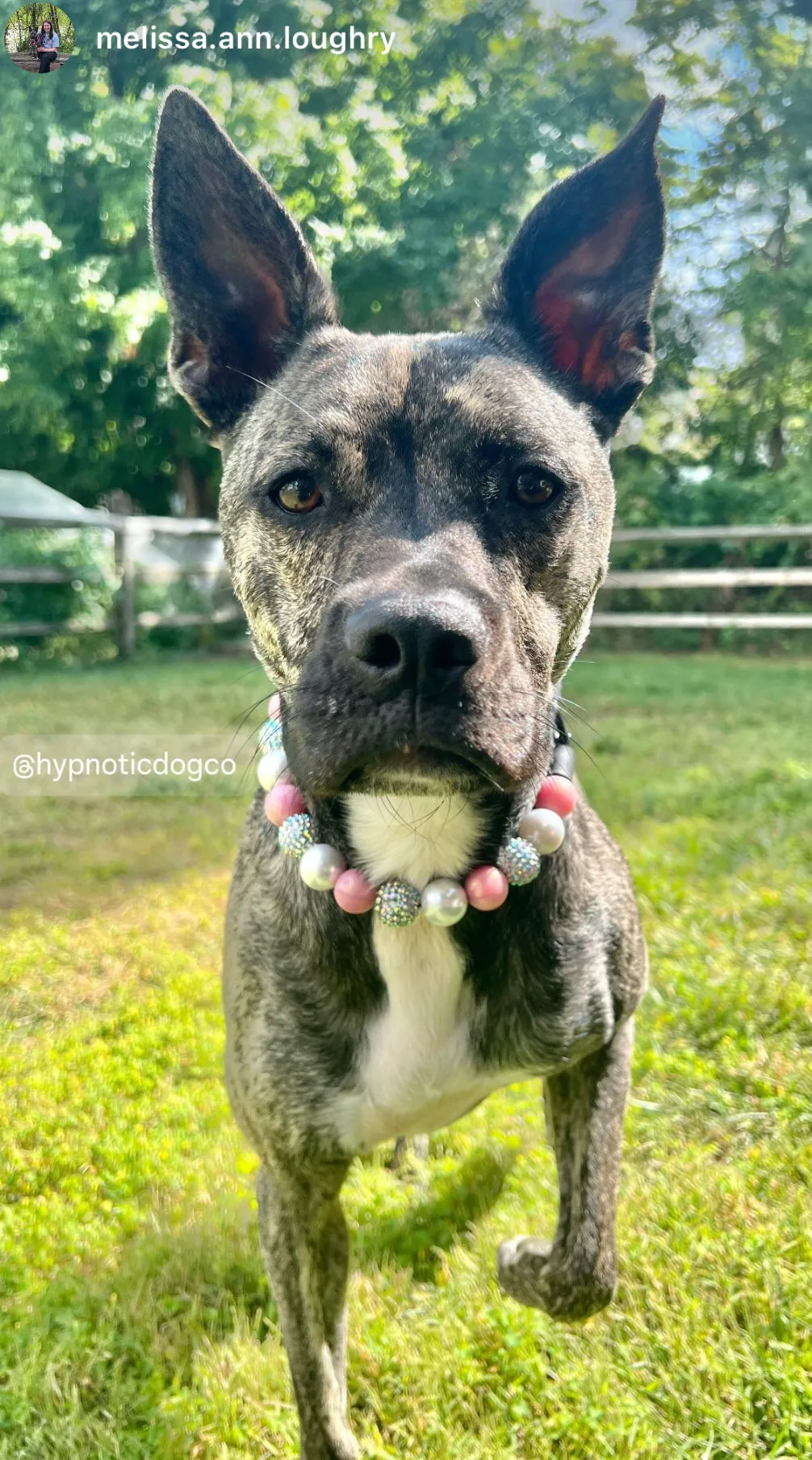 Rouge Gold Glam Bead Collar
