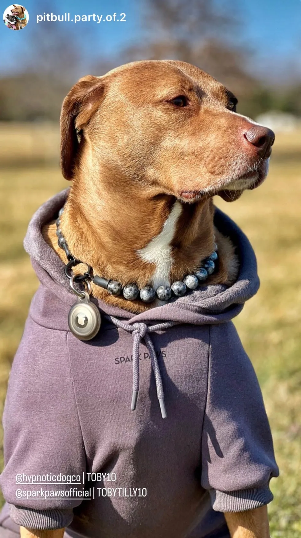 Smoky Labradorite Semi-precious Gem Bead Collar
