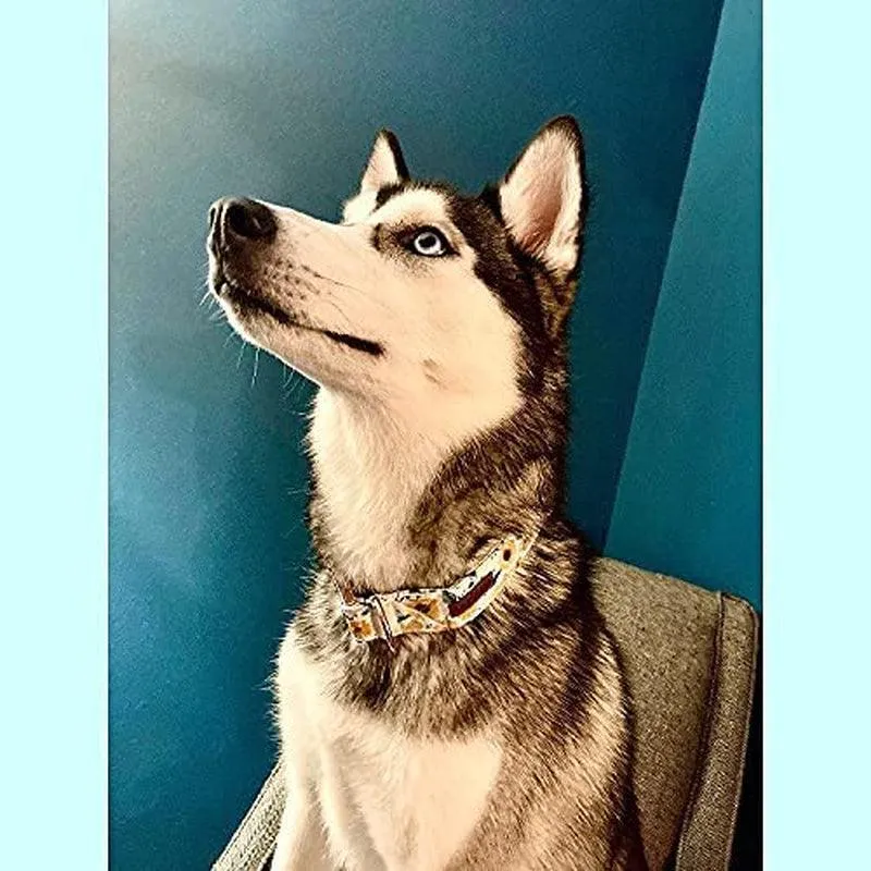 Sunshine Sunflower Dog Collar