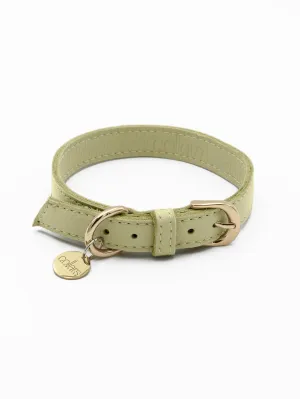 TAG COLLAR